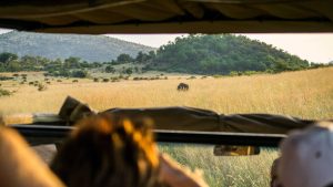 Klima Pilanesberg National Park temperatur, klimat och väder året runt