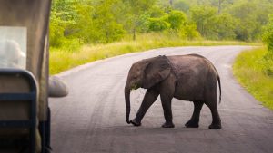 Klima Selous Game Reserve temperatur, klimat och väder året runt