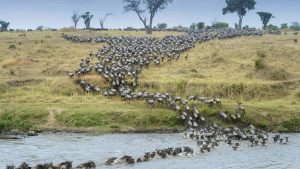 Klima Serengeti National Park temperatur, klimat och väder året runt