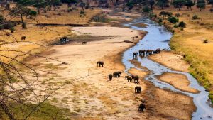 Klima Tarangire National Park temperatur, klimat och väder året runt