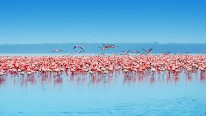 Klima Nakuru temperatur, klimat och väder året runt
