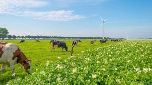 Klima Flevoland temperatur, klimat och väder året runt