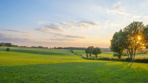 Klima Limburg temperatur, klimat och väder året runt