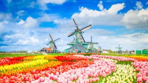 Klima Noord-Holland temperatur, klimat och väder året runt